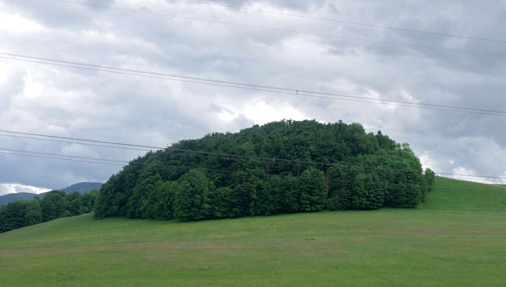 IMGP1497-1024.jpg
