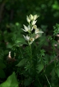 IMGP1277-1024.jpg