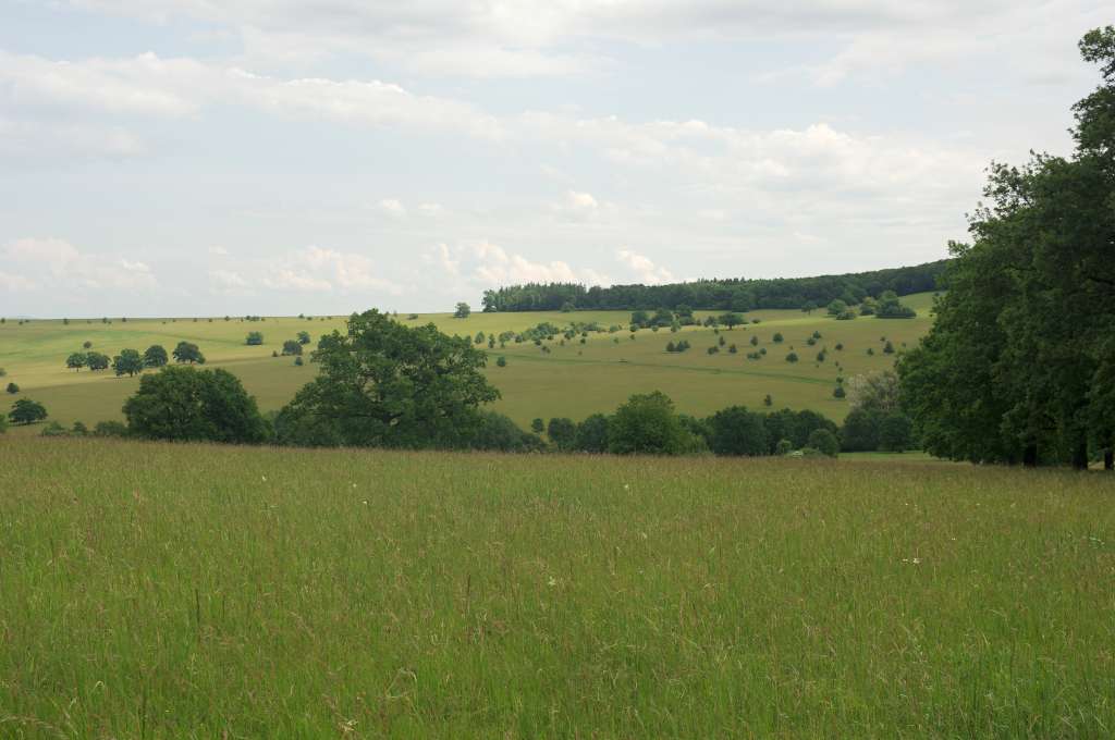 IMGP1802-1024.jpg