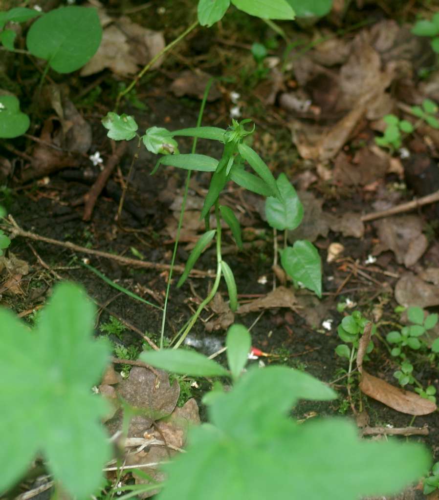 IMGP2075-1024.jpg