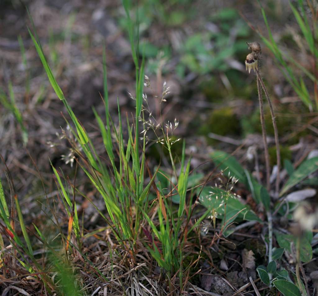 IMGP2279-1024.jpg