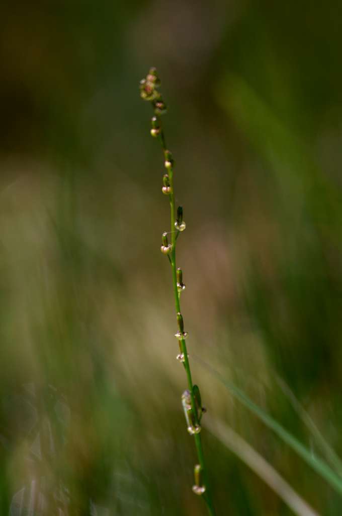 IMGP2483-1024.jpg