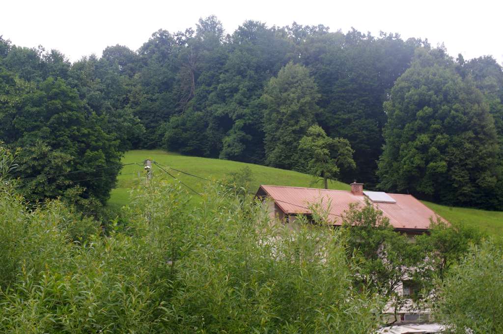 IMGP2889-1024.jpg
