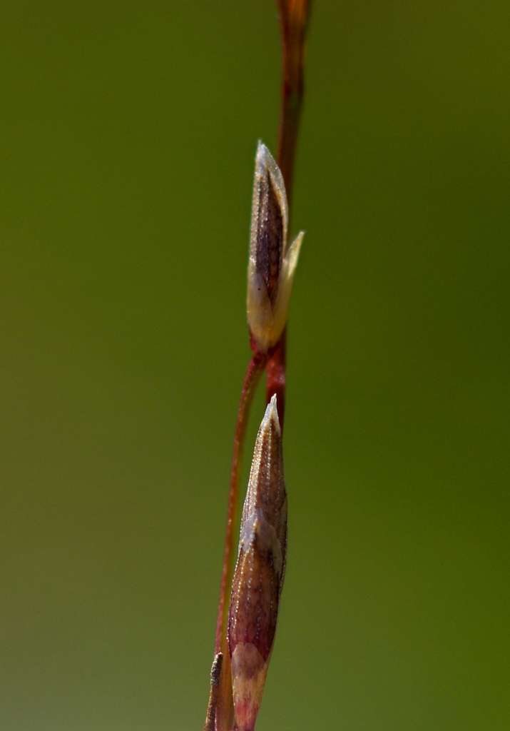 IMGP2900-1024.jpg