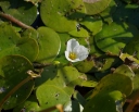 IMGP3929-1024.jpg