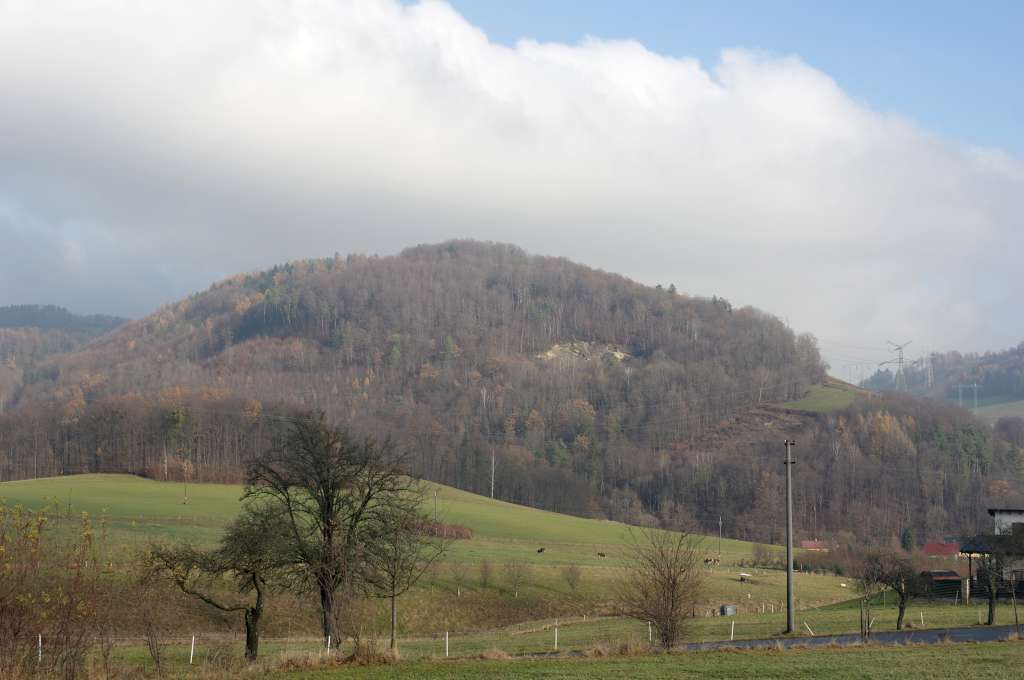 IMGP5694-1024.jpg