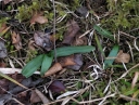 IMGP6048-1024.jpg