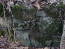 IMGP6064-1024.jpg
