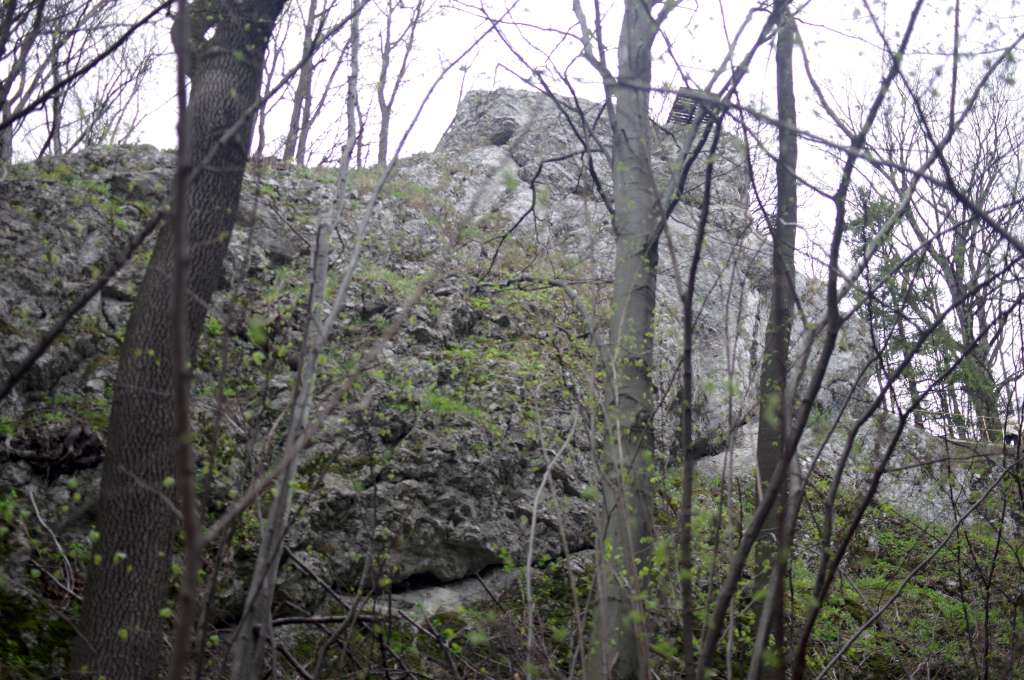 IMGP6709-1024.jpg