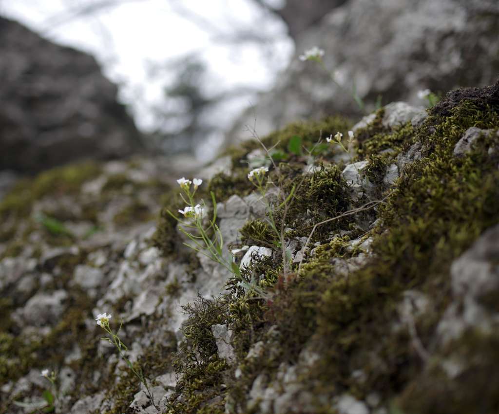 IMGP6716-1024.jpg