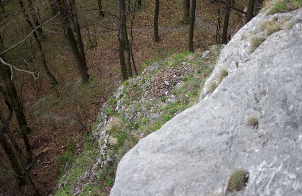 IMGP6722-1024.jpg