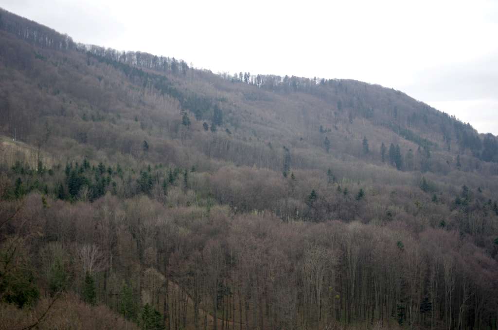 IMGP6725-1024.jpg