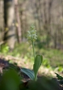 IMGP6811-1024.jpg
