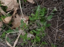 IMGP6917-1024.jpg