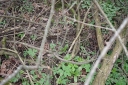 IMGP6968-1024.jpg