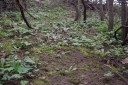 IMGP6969-1024.jpg