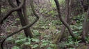 IMGP6972-1024.jpg