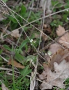 IMGP6975-1024.jpg
