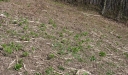IMGP7023-1024.jpg