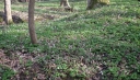 IMGP7044-1024.jpg