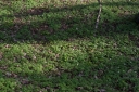 IMGP7056-1024.jpg