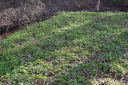 IMGP7059-1024.jpg
