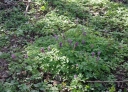 IMGP7067-1024.jpg