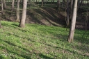 IMGP7074-1024.jpg