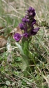 IMGP7115-1024.jpg