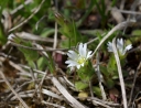 IMGP7118-1024.jpg
