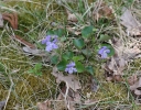 IMGP7129-1024.jpg