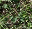 IMGP7136-1024.jpg