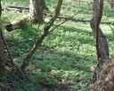IMGP7156-1024.jpg