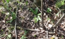 IMGP7161-1024.jpg