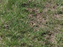 IMGP7174-1024.jpg