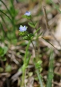 IMGP7190-1024.jpg