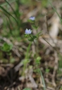 IMGP7191-1024.jpg