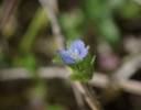 IMGP7192-1024.jpg