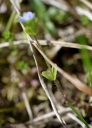 IMGP7193-1024.jpg