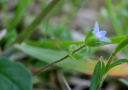 IMGP7204-1024.jpg