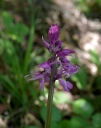 IMGP7245-1024.jpg