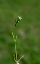 IMGP7254-1024.jpg