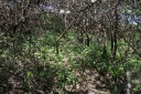 IMGP7270-1024.jpg