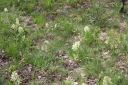 IMGP7304-1024.jpg