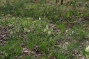 IMGP7305-1024.jpg