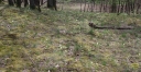IMGP7314-1024.jpg