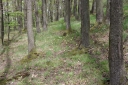 IMGP7329-1024.jpg