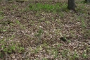IMGP7350-1024.jpg
