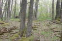 IMGP7357-1024.jpg