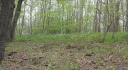IMGP7358-1024.jpg
